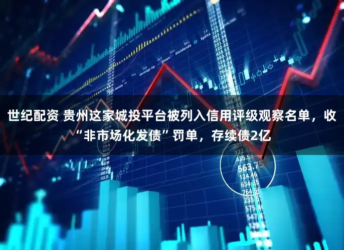 世纪配资 贵州这家城投平台被列入信用评级观察名单，收“非市场化发债”罚单，存续债2亿